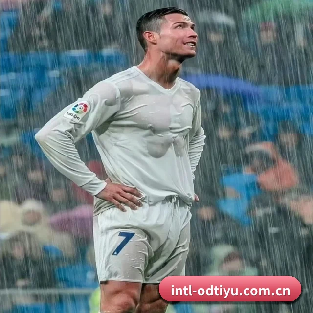 OD体育安全通道 APP 界面